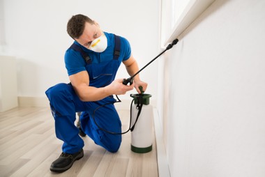 Local Oakland pest control contractor in CA near 94607