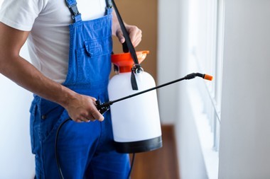 Knowledgeable Alameda pest control contractor in CA near 94501